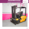 CARRETILLA ELEVADORA 3000 KG - Imagen 2