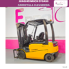 CARRETILLA ELEVADORA 3000 KG - Imagen 3